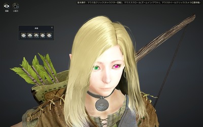 blackdesert キャラクリ