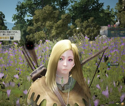 blackdesert キャラクリ