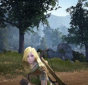 blackdesert 初期キャラクリ