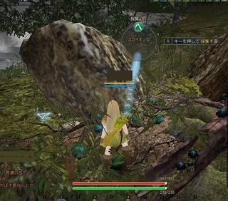 blackdesert 採取(スカイキノコ)