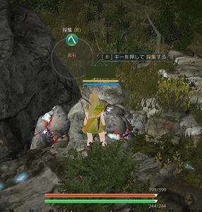 blackdesert 採取(長石)