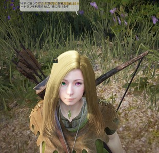 blackdesert キャラクリ