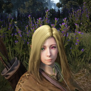 blackdesert キャラクリ
