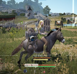 blackdesert 初期キャラクリ