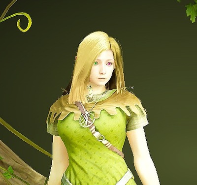 blackdesert 先行キャラクリ