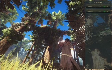 blackdesert 先行キャラクリ