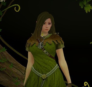 blackdesert 先行キャラクリ