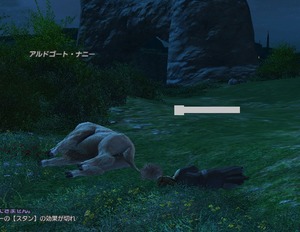 FF14 N[Yh