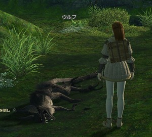 ff14 ޗǂ̘T