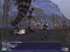 FF11 xqNG